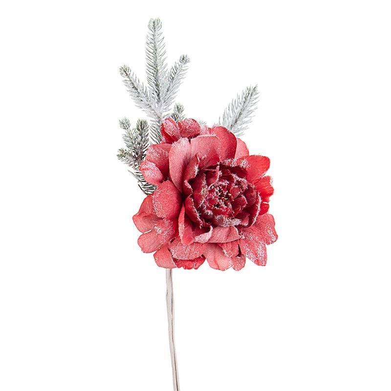 PICK PEONIA LYNDA ROSSO H32