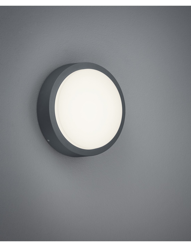 Plafoniera Da Esterno Breg Antracite IP54 Ø20 cm Trio Lighting