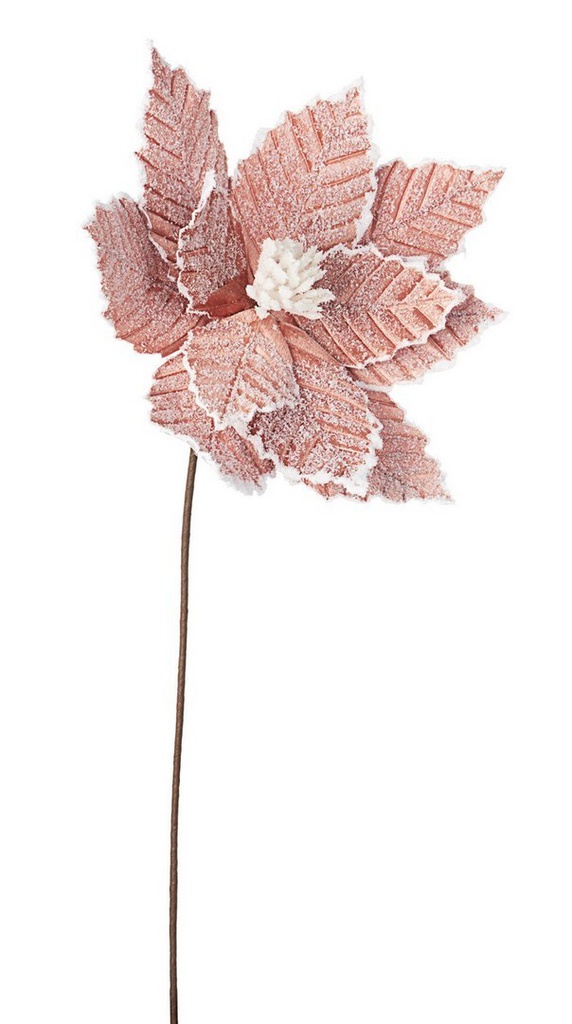 Ramo enid poinsettia rosa H50