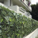 SEMPREVERDE DOUBLE FOGLIE EDERA 1x3 mt