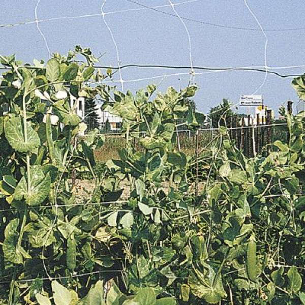 Rete per rampicanti RAMPY 1.2x100 cm