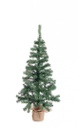 2x Albero Cerano H130-173Rami