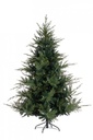 Albero Bernina H240-4117Rami