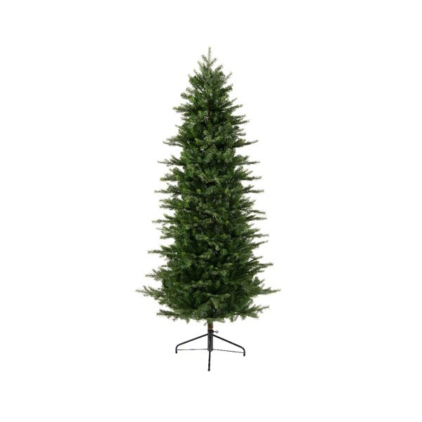 Albero Grandis slim altezza 240