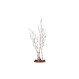 [19624209] BIRCH TREE MEDIUM lemax alberello