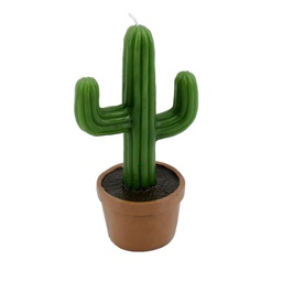 [V5506180000] Candela cactus con vaso cm 11