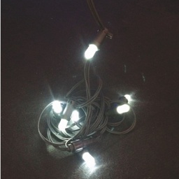 [1932407] Catena 20 Led colore bianco cavo gommato per esterno 10 metri Euronatale