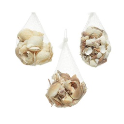 [20006650] Conchiglie Decorative 14X14X8 Cm