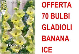 [2001008] Concime Per Fragole Piccoli Frutti 1Kg Fito Bio