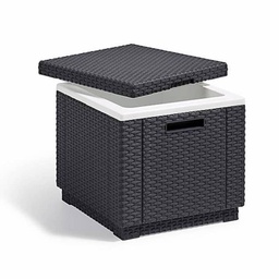 [2000749] Contenitore Raffreddamento con Cubi Ghiaccio Grafite