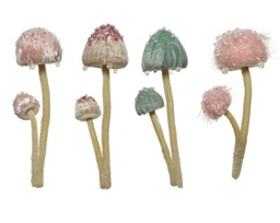 [19625893] Funghi assortiti in tessuto pz 1 cm 23