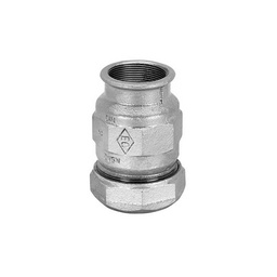 [DFLEX-340-740-11] Giunto rapido femmina zincato 2&quot;1/2
