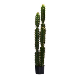 [V3628790000] Pianta cactus con vaso tondo cmø18h124
