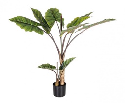 [B0172561] Pianta decorativa 10 foglie Dieffenbachia