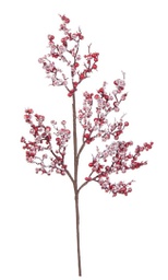 [20036722] Pick Delia Bacche Rosso Ghiacciato H50Cm