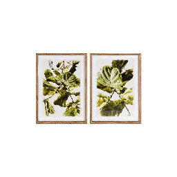 [19916079] Quadro Dkd Home Decor Plants (50 X 2.5 X 70 Cm)