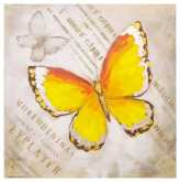 [V9184190000] Quadro farfalla arancione yc-2067a