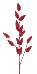 [20036726] Ramo Fancy Rosso H70Cm