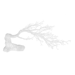 [V3631770000] Ramo bianco  cm 85x17h30