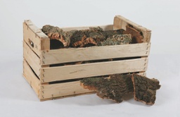 [19977637] Sughero In Cassetta Legno decorazione di Natale
