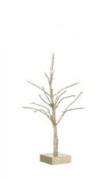 [B0918439] 2x Albero Glad Champagne H60