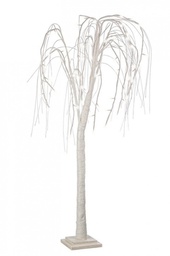 [B0914385] 2x Albero Salice Bia Irid H120