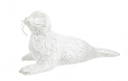 [B0927231] 2x Foca Essence Bianco