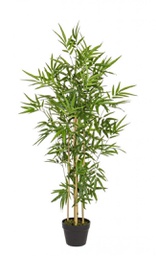 [B0172384] 2x Pianta Bamboo C-Vaso H130Cm
