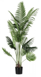 [B0172839] 2x Pianta Kenzia C-Vaso 20Foglie H180