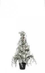 [B0939850] 2x Pino Collalto Innevato H90