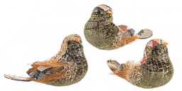 [B0935997] 3x Set3 Clip Dafne Uccellino Multi Verde