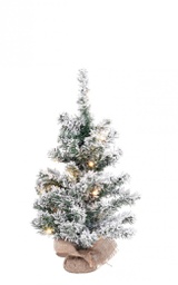 [B0939652] 6x Albero Innsbruck Innevato H60 C