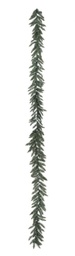 [B0929512] 6x Boa Oregon Verde H270