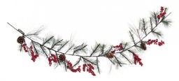 [B0932850] 6x Boa Vals Bacche Rosso C