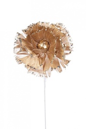 [B0927224] 6x Pick Piume Fiore Champagne