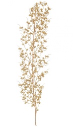 [B0934931] 6x Ramo Sheryl Bacche Oro H104Cm