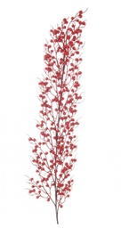 [B0934932] 6x Ramo Sheryl Bacche Rosso H104Cm
