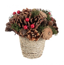 [B0931036] 8x Composizione Sequoia C