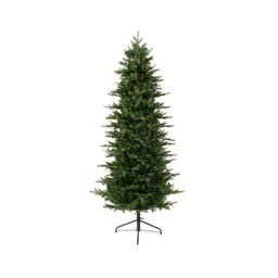 [19974740] Albero Grandis slim altezza 240